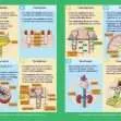 GCSE/KS4 Biology: Kidney Function