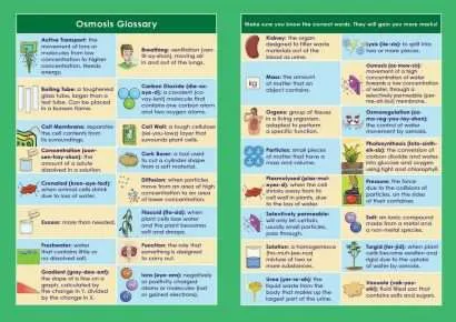 GCSE/KS4 Biology: Osmosis