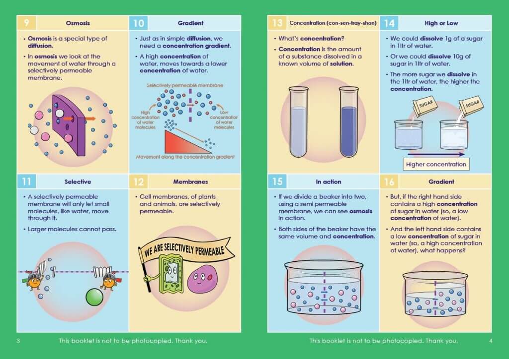 KS4/GCSE Biology | Osmosis Pack | Resources For Dyslexics