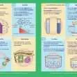 GCSE/KS4 Biology: Osmosis