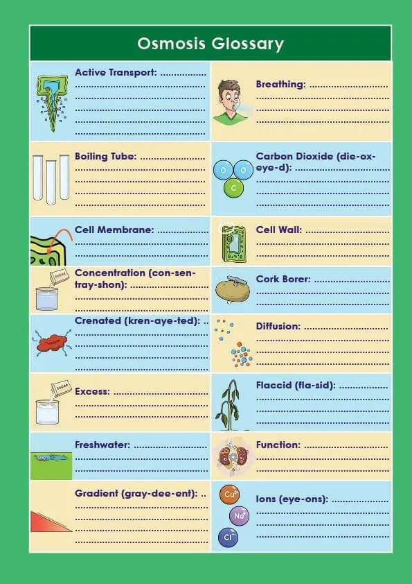 Osmosis glossary worksheet with terms and blank lines for definitions