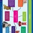 CE/KS3 History: The Gunpowder Plot