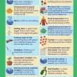 GCSE/KS4 Biology: Enzymes