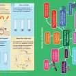 GCSE/KS4 Biology: Enzymes