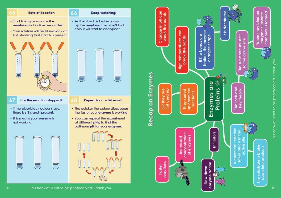 GCSE/KS4 Biology: Enzymes