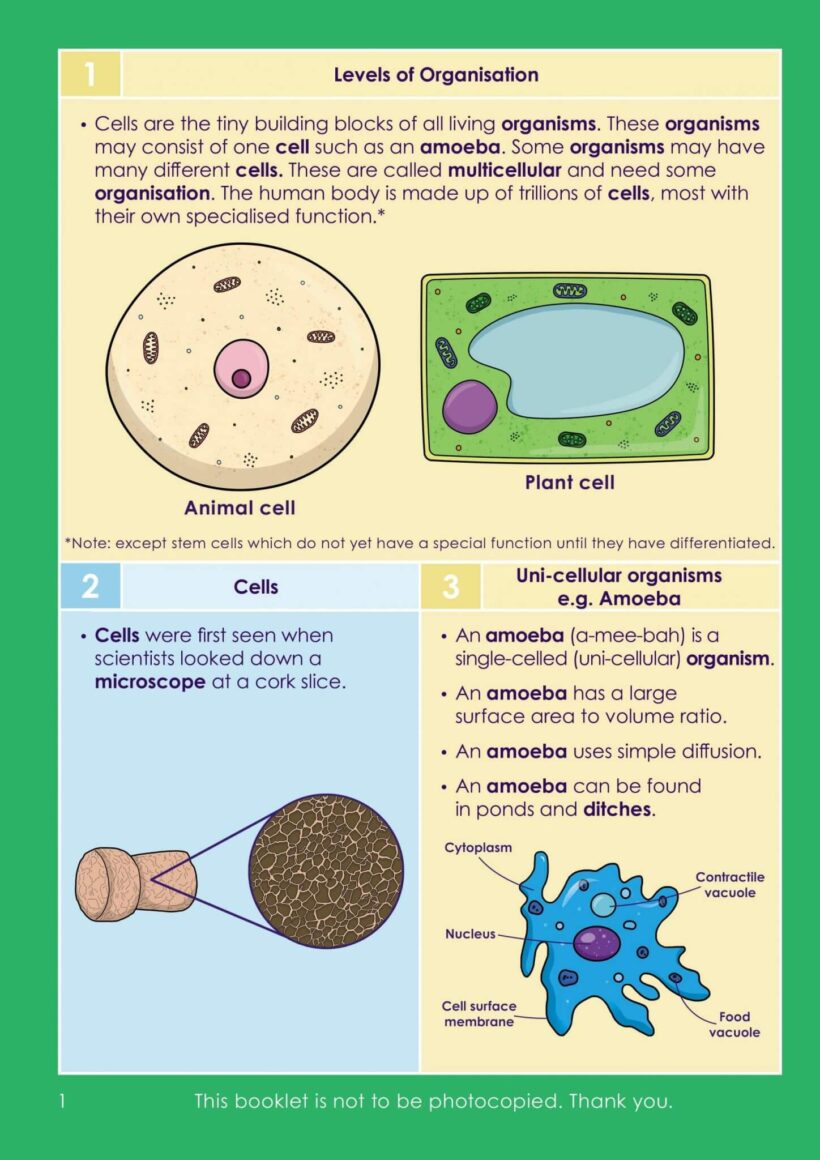 GCSE/KS4 Biology: Cell Biology