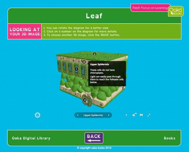 Key Stage 3 intelligence overview