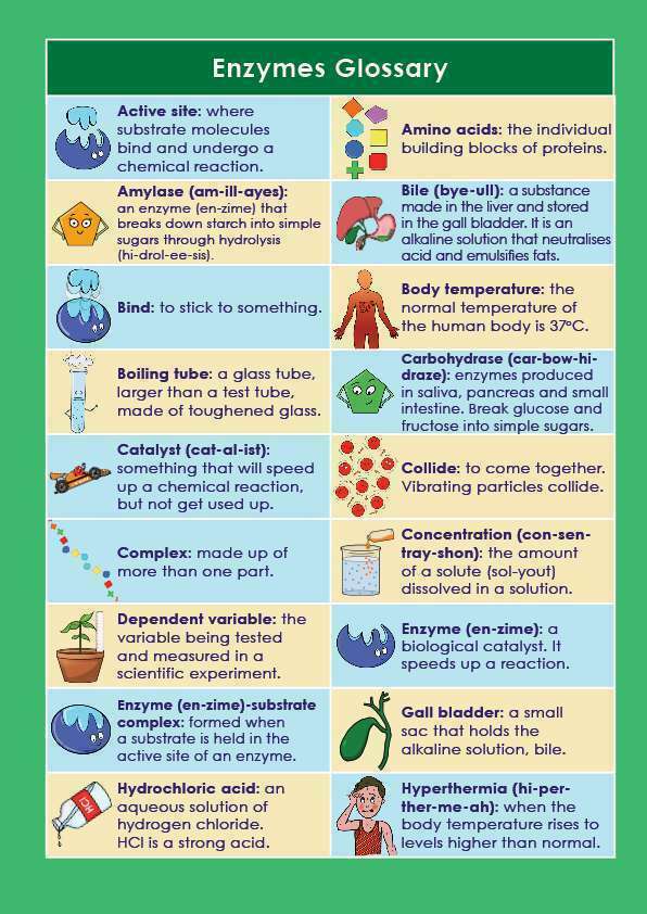 Enzymes - Glossary Page 1