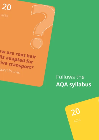 Smashed: GCSE Biology Card Games Bundle – All 9 Topics - Image 3