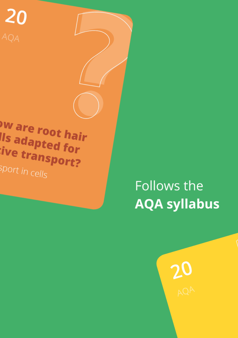 Smashed: GCSE Biology Card Games Paper 1 Bundle – 4 Games - Image 3