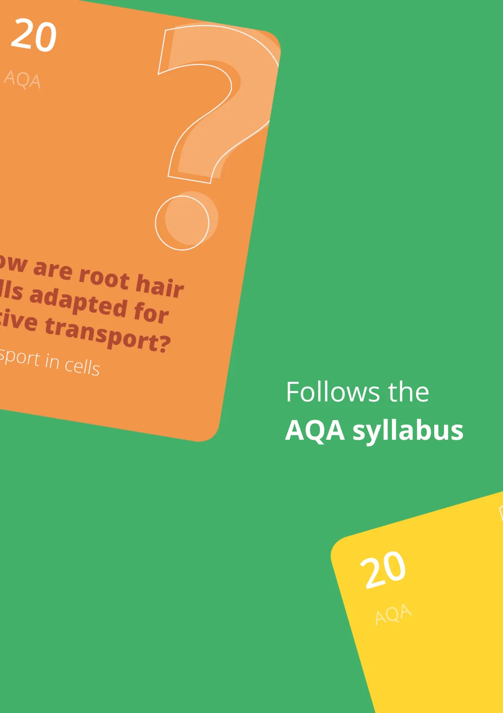 Smashed: Inheritance, Variation and Evolution (Part 1) for GCSE Biology - Image 3