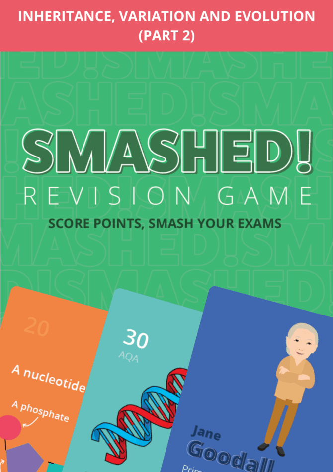 Inheritance P2 Smashed Card Game