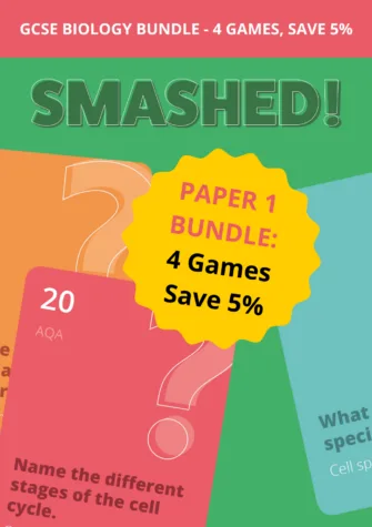 Smashed Paper 1 Bundle